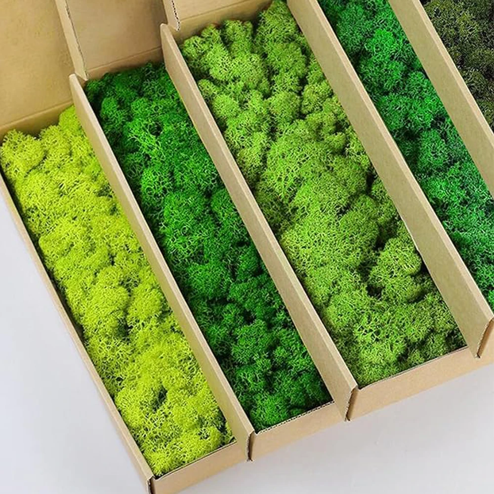 Terrarium Moss Art - 20-200G Tanaman Hijau Buatan Rumput Palsu