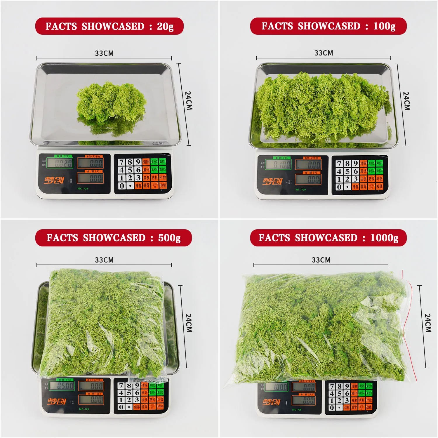 20-200G Tanaman Hijau Buatan R - Terrarium Moss Art ulasan dan harga