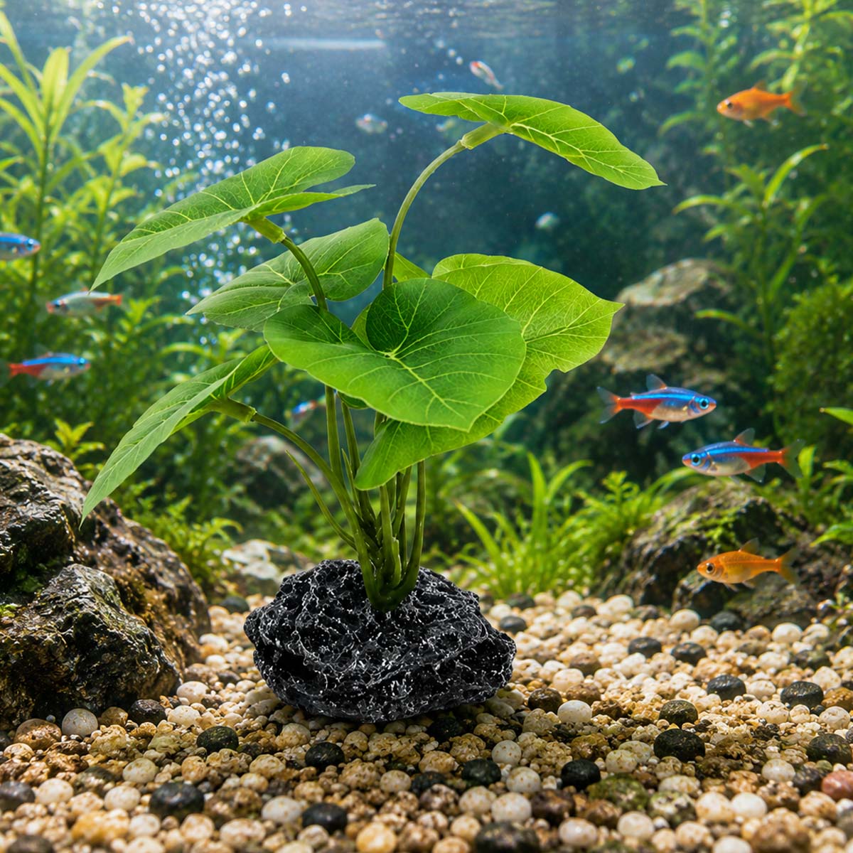 1 buah Tanaman Simulasi Akuari - Terrarium Moss Art ulasan dan harga